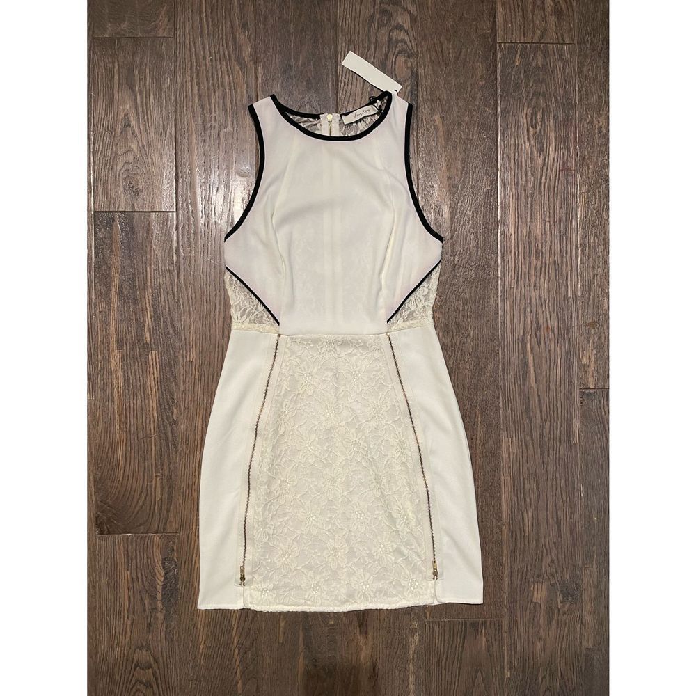 Luster Lace Bodycon Zipper Mini Dress